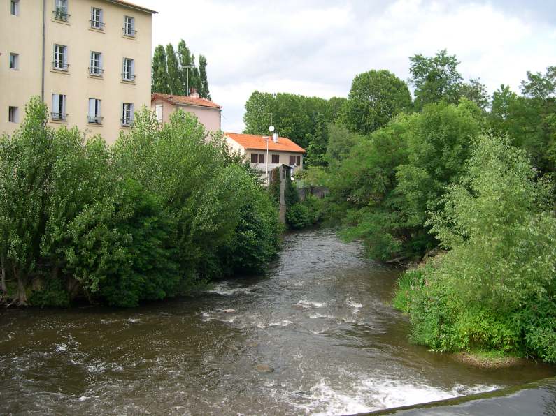  rivière et verdure